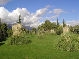 One of Château Kefraya's gardens. Opera composer unrecorded.