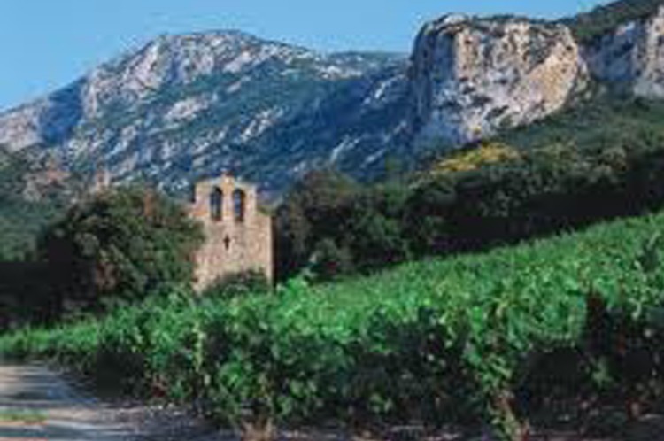 Cote Corbieres