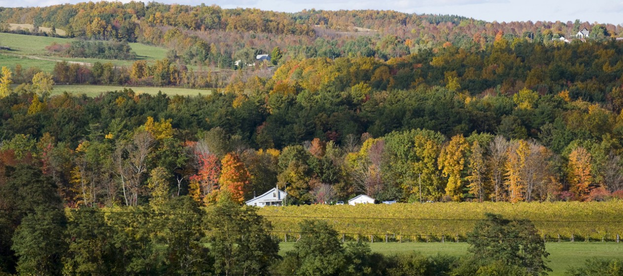 Finger Lakes