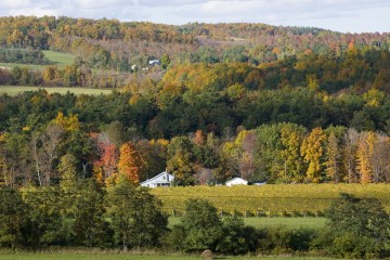 Finger Lakes